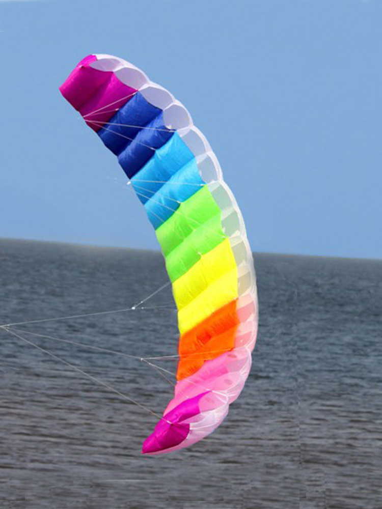 Professional 1.4/2/2.7m Dual L - Kite Surf Bar Control review and price