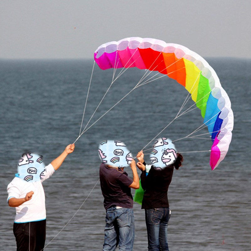Professional 1.4/2/2.7m Dual L - Kite Surf Bar Control review and price